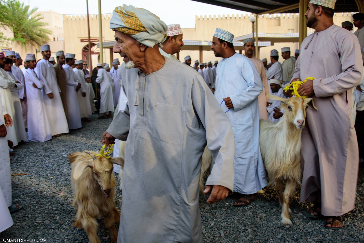 nizwa-goat-market-omantripper
